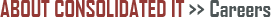 About Consolidated IT - Careers