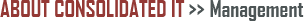 About Consolidated IT - Management
